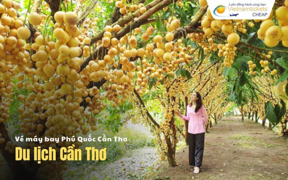 Du lịch Phú Quốc Cần Thơ