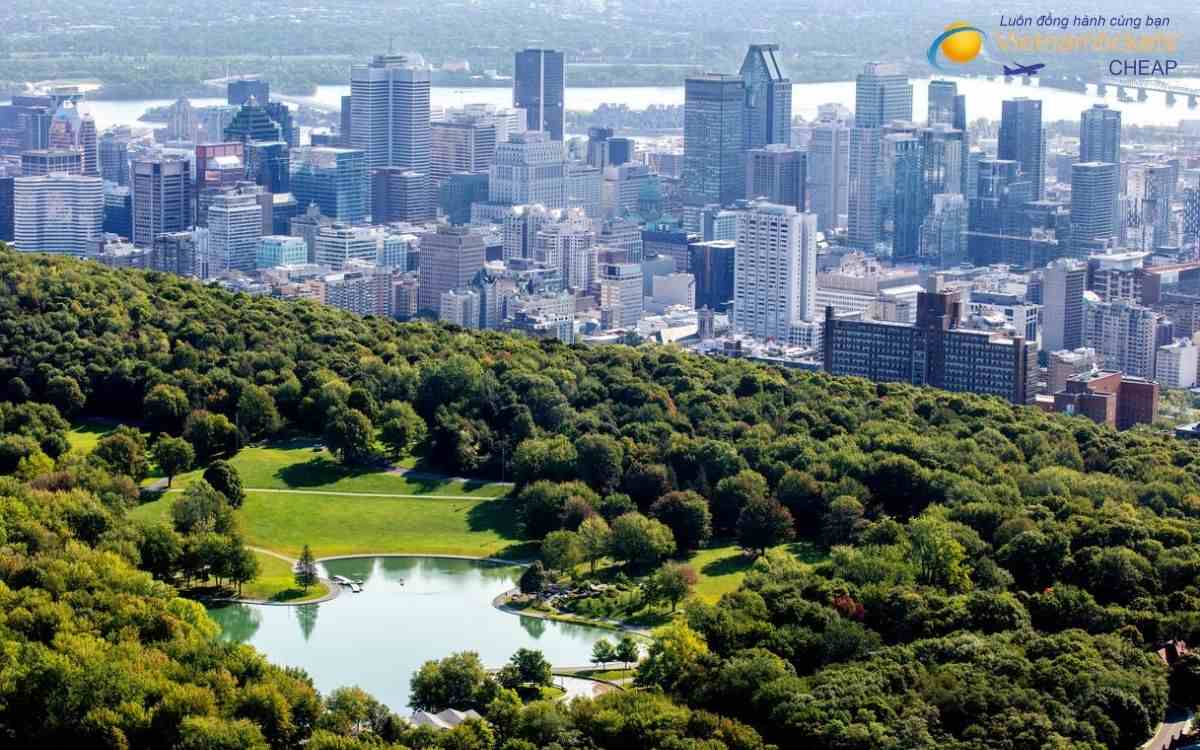 Kinh nghiệm săn vé giá rẻ từ Montreal về Việt Nam