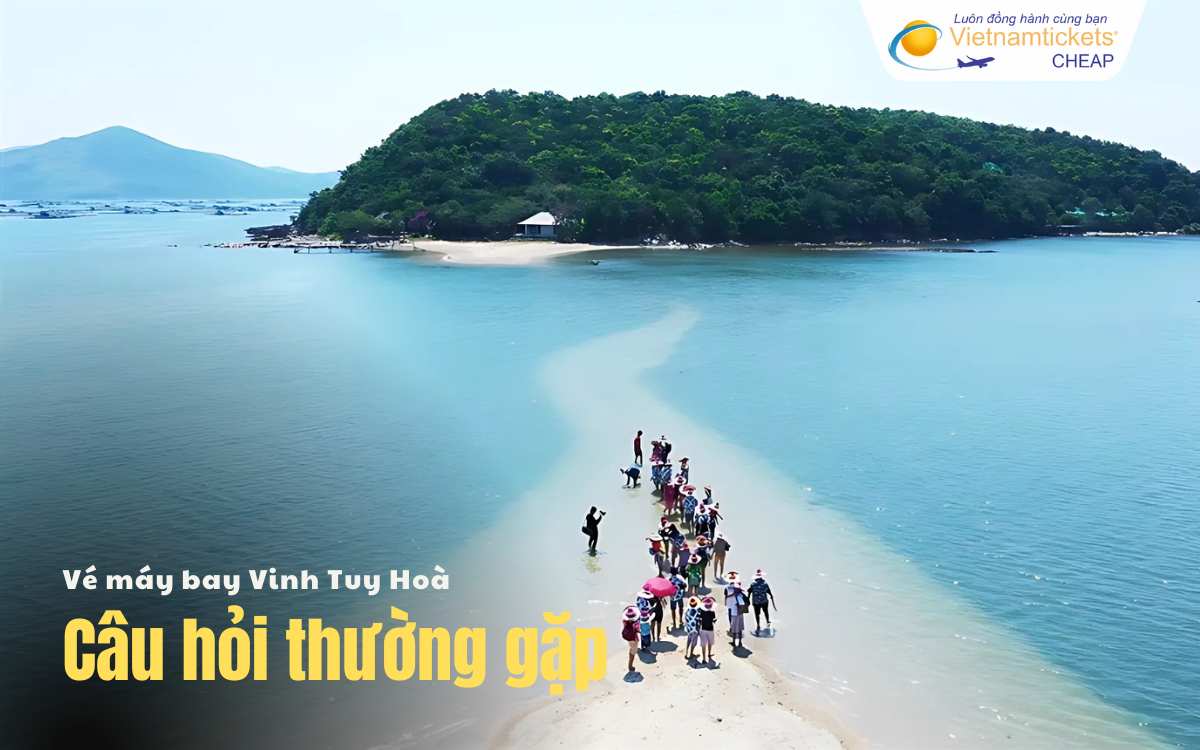 C&acirc;u hỏi thường gặp Vinh Tuy H&ograve;a