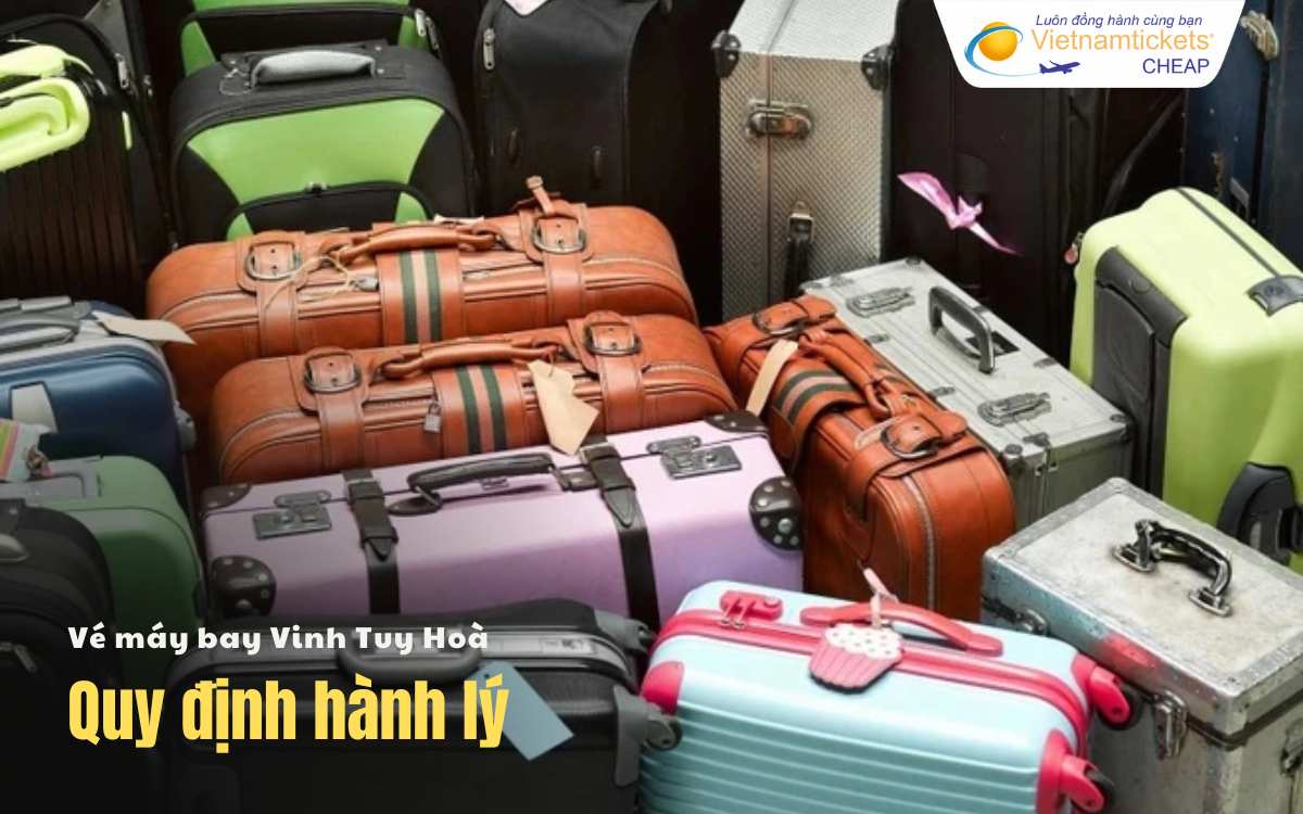 Quy định h&agrave;nh l&yacute; Vinh Tuy H&ograve;a