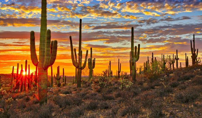 Bang Arizona có mùa hè kéo dài và thường khá nắng nóng