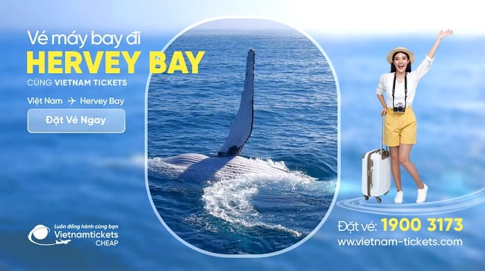 Vé đi Hervey Bay