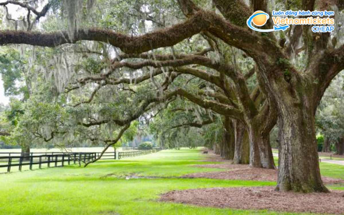 Đặc điểm tự nhiên của bang Mississippi