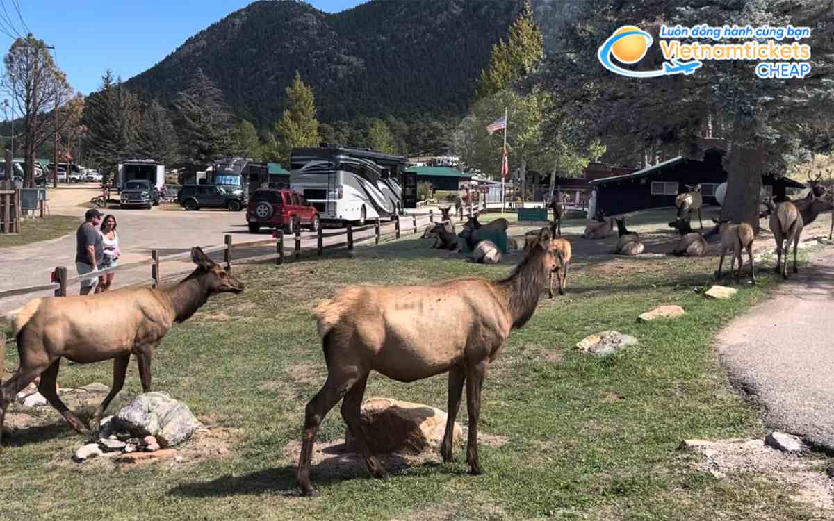Estes Park dãy núi Rocky
