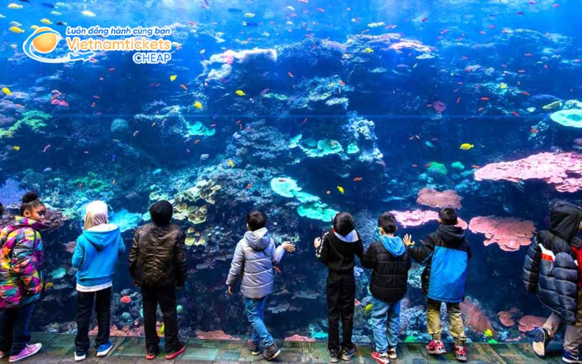 Georgia Aquarium địa điểm du lịch Atlanta