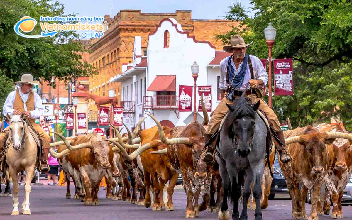 Kinh nghiệm du lịch Texas tiết kiệm