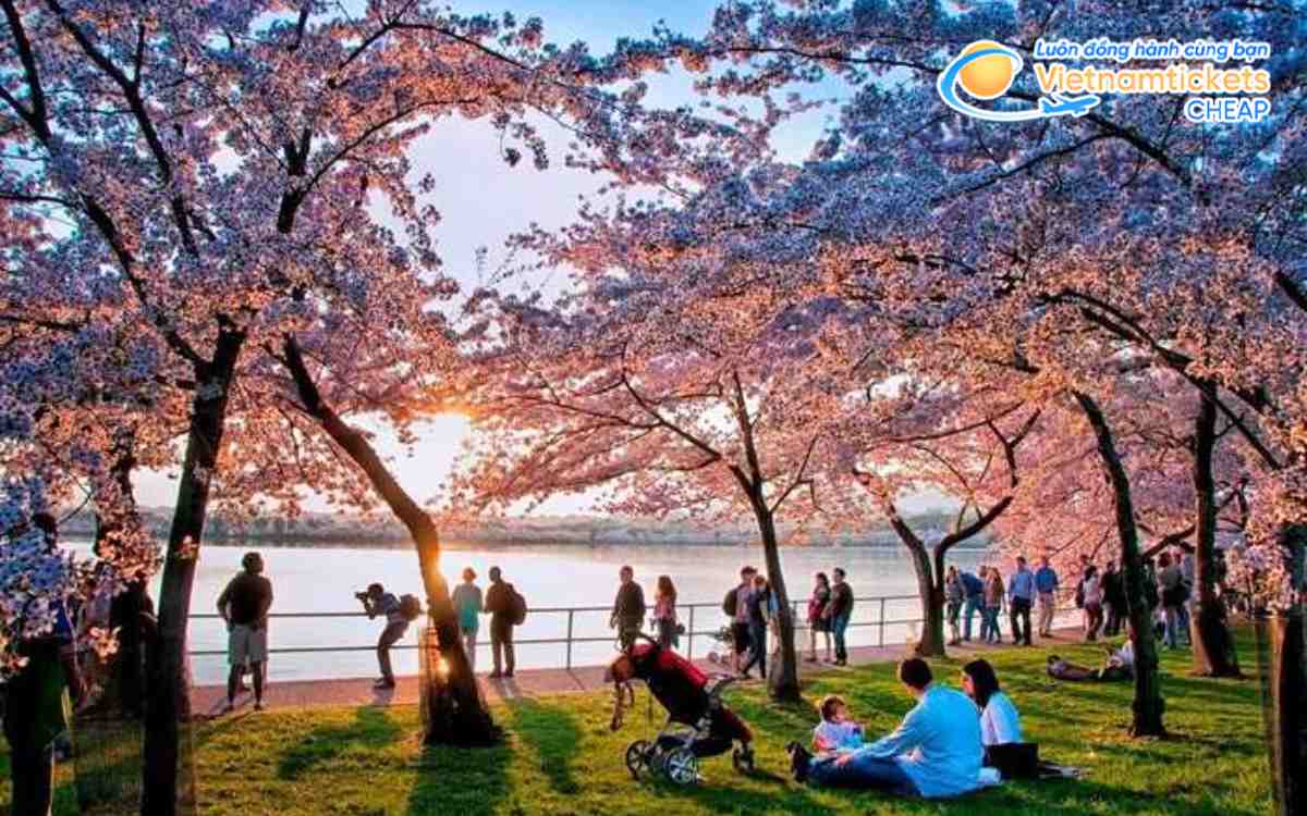 Lễ hội mùa xuân ở Mỹ