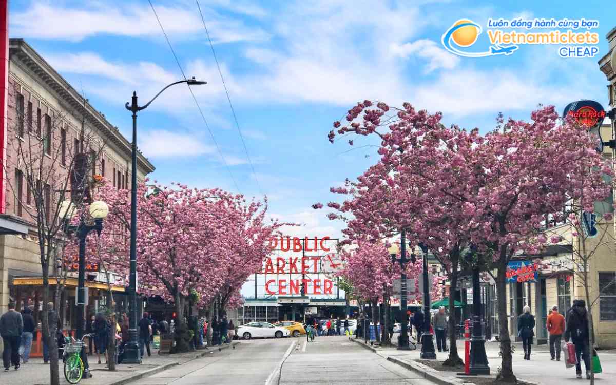 Lễ hội hoa anh đào ở Washington