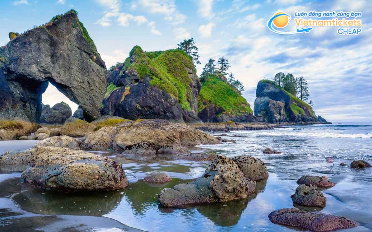 Olympic National Park Washington