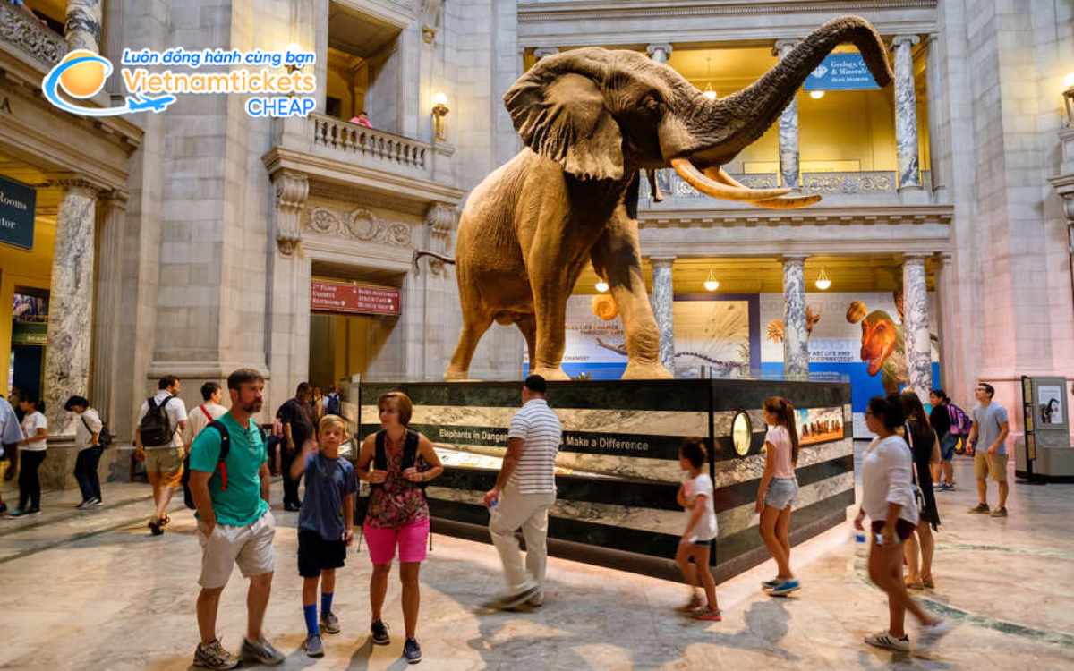 Kinh nghiệm khám phá thủ đô nước Mỹ