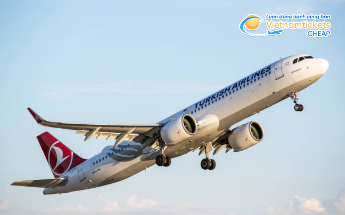 Hãng bay từ Việt Nam đến Bowie