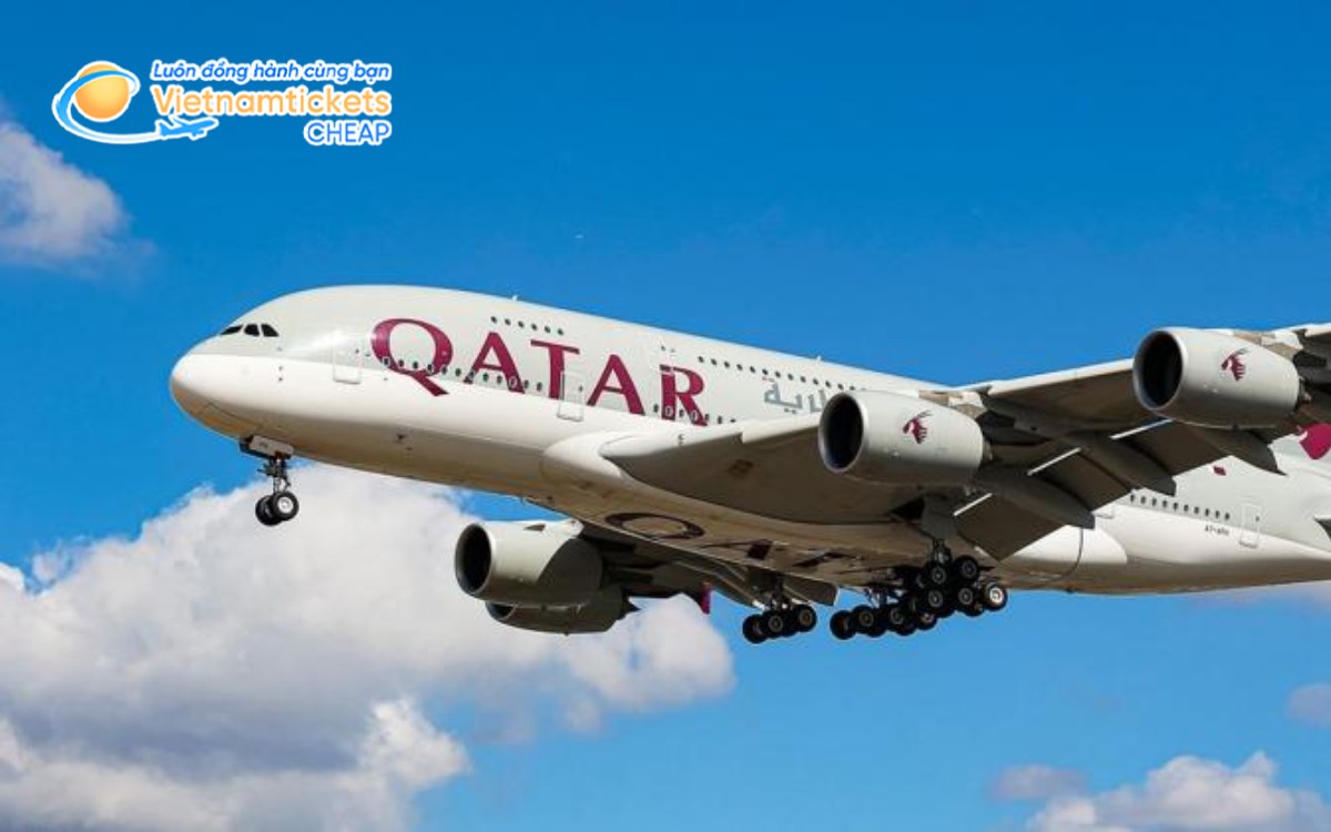 Hãng bay đến Delaware