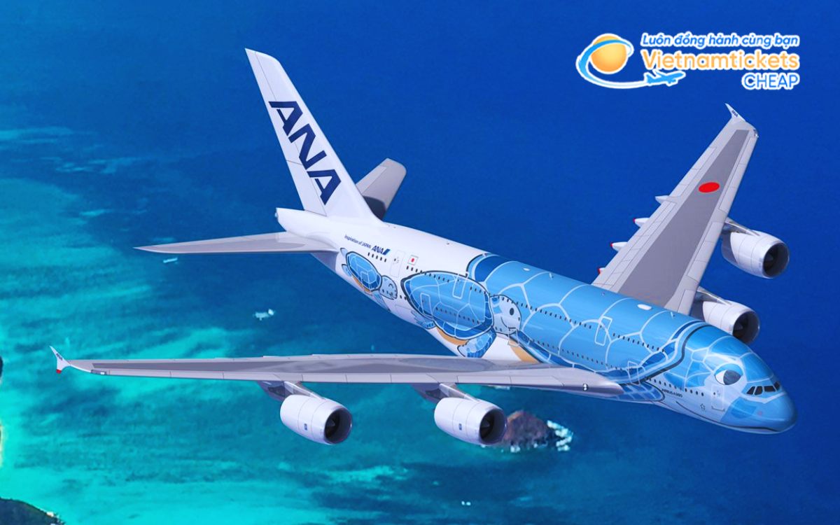 Hãng bay từ Việt Nam đến Fort Collins