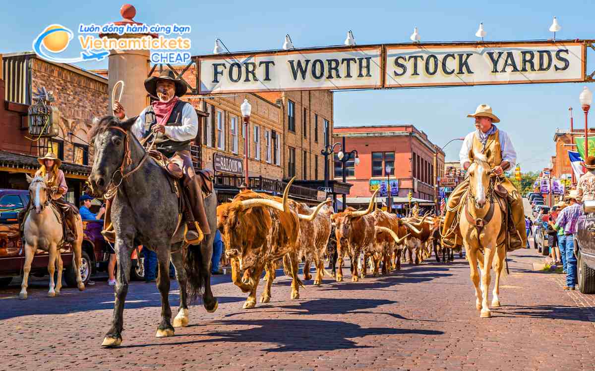 Gi&aacute; v&eacute; m&aacute;y bay đi Fort Worth
