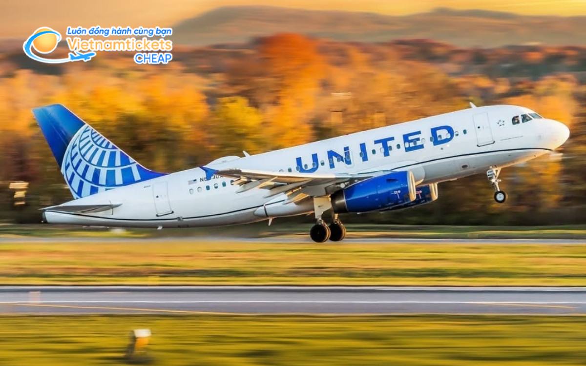 Hãng bay đến Greensboro