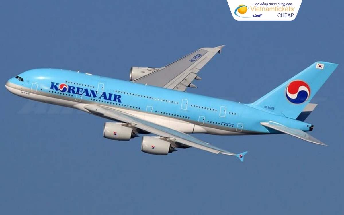 Hãng hàng không bay đi Guam phổ biến