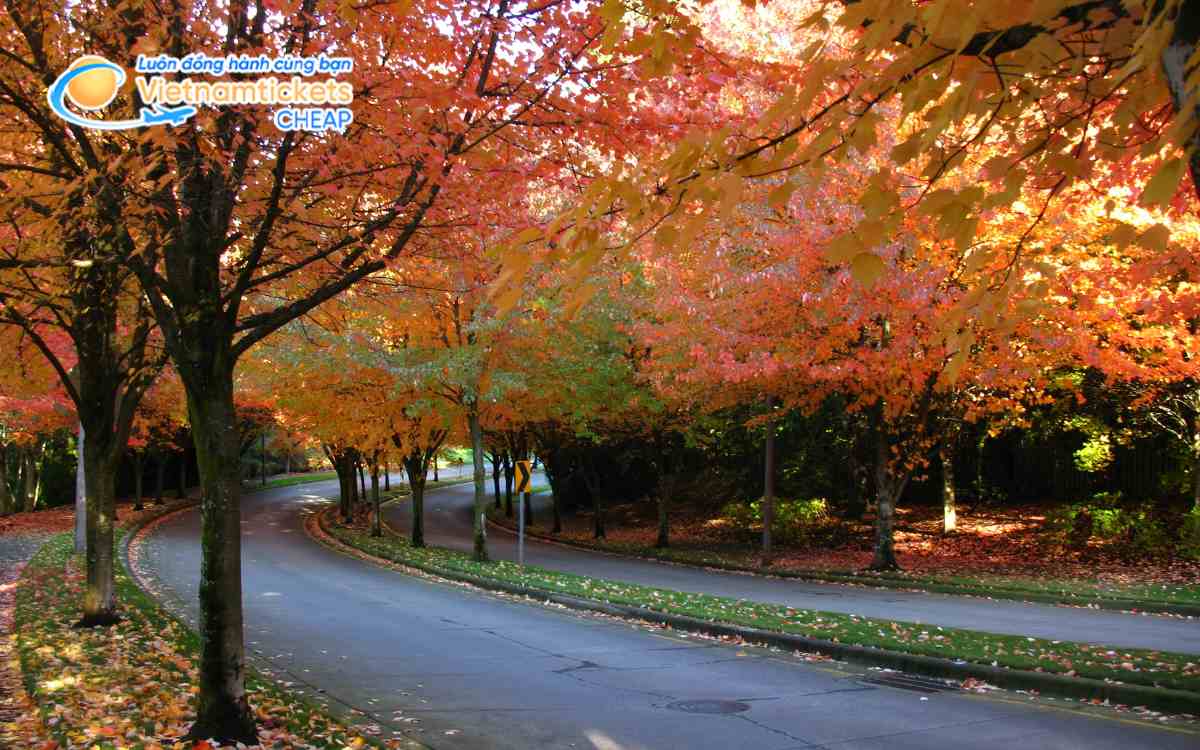 Giá vé máy bay đi Hillsboro