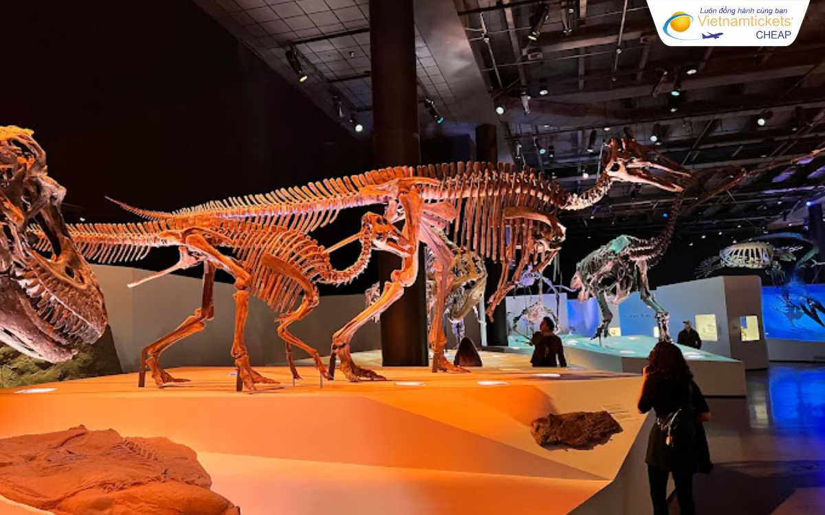 Museum of Natural Science địa điểm du lịch Houston