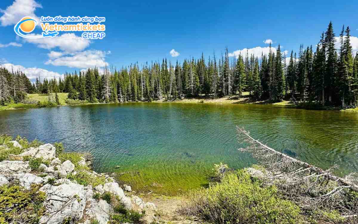 Giá vé máy bay đi Laramie