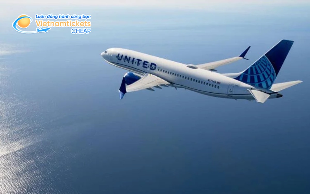 Hãng bay đến Lee's Summit