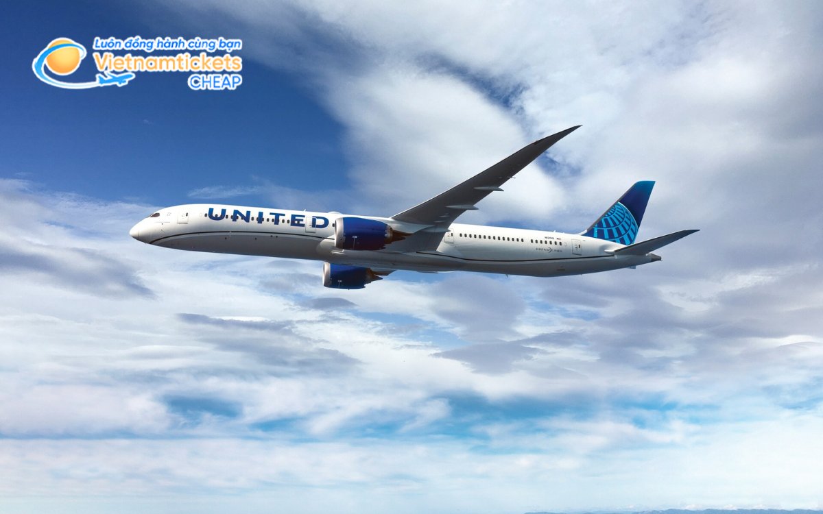 Hãng bay đến Maine