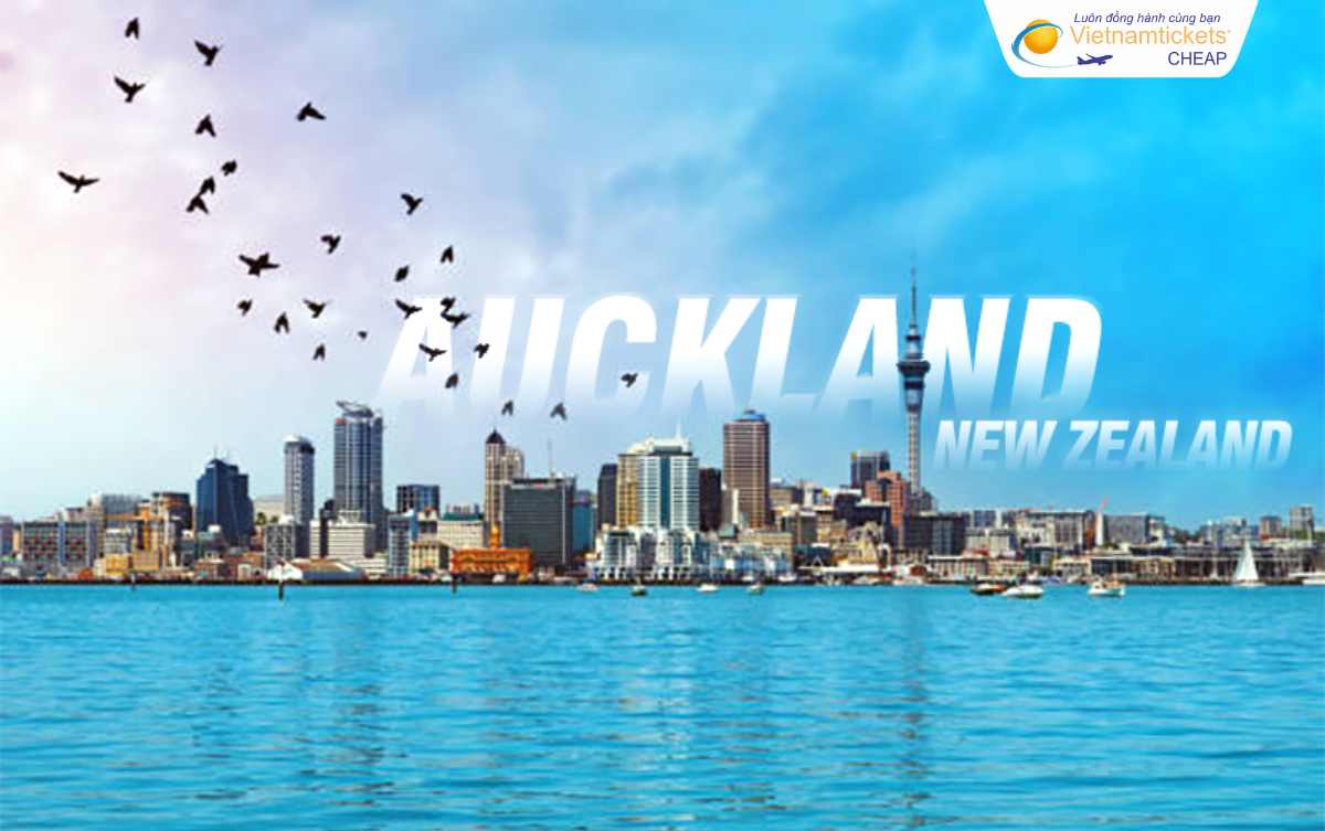 Thành phố Aukland địa điểm du lịch New Zealand