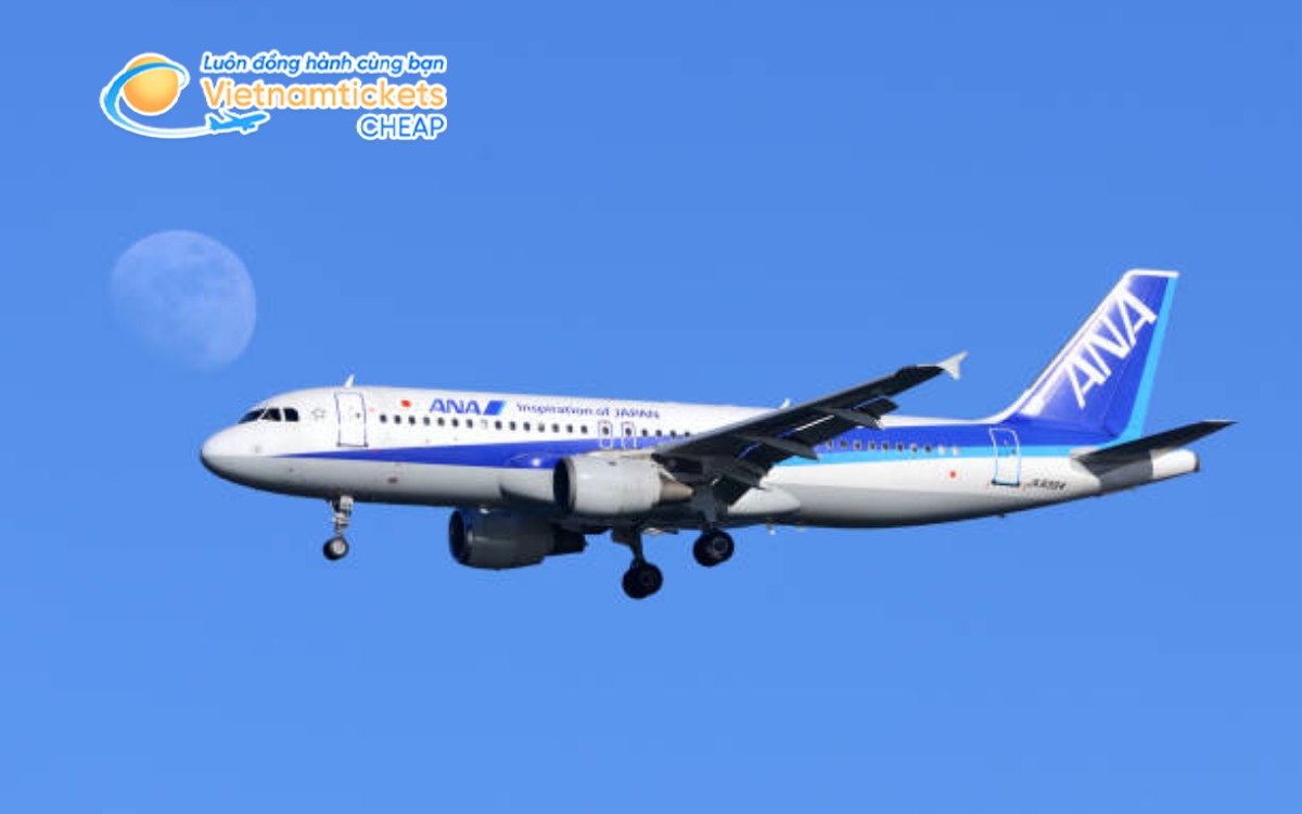 Hãng bay từ Việt Nam đến Overland Park