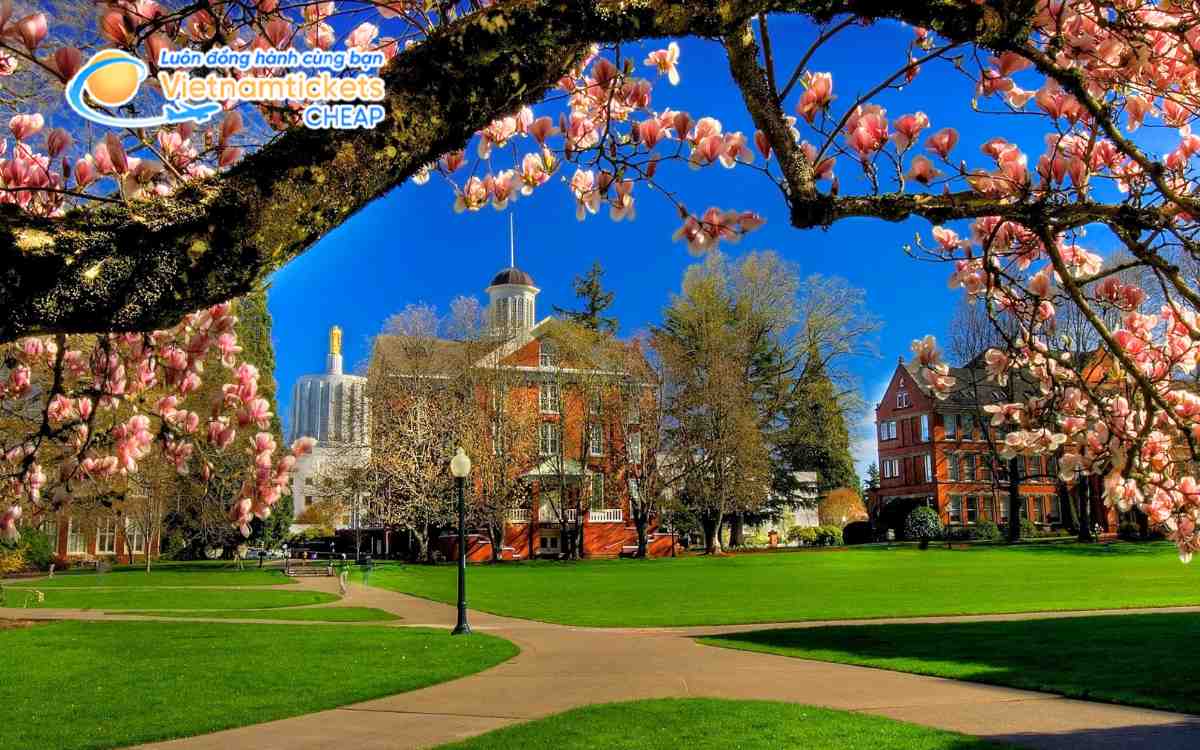 Giá vé máy bay đi Salem