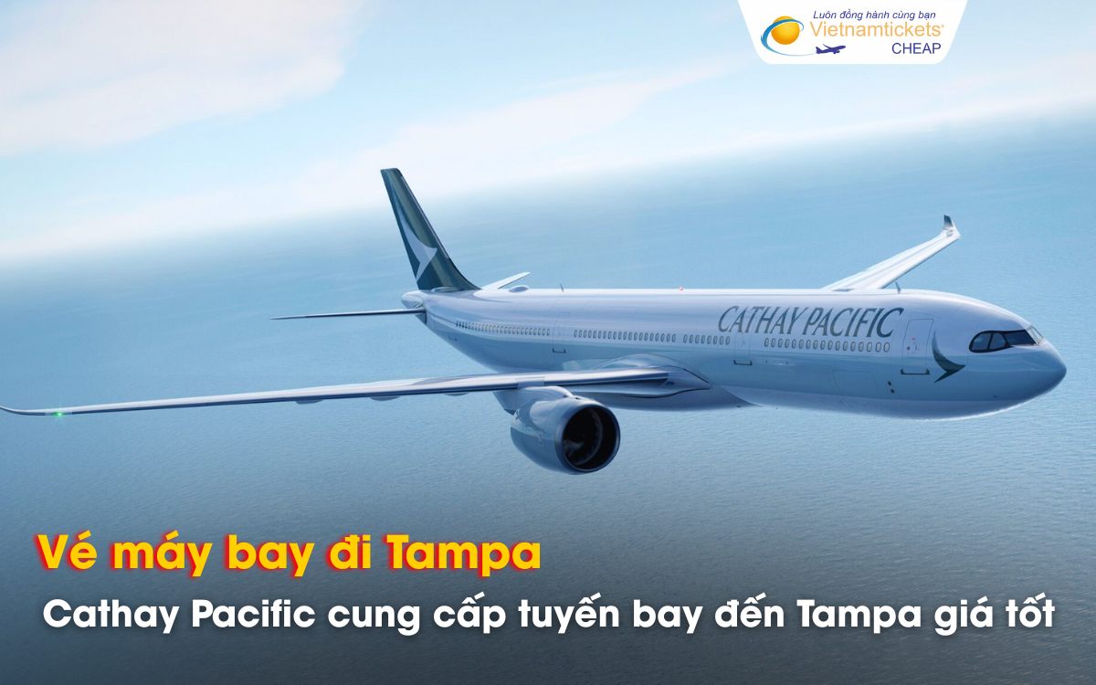 Đi Tampa chọn hãng bay nào giá tốt?