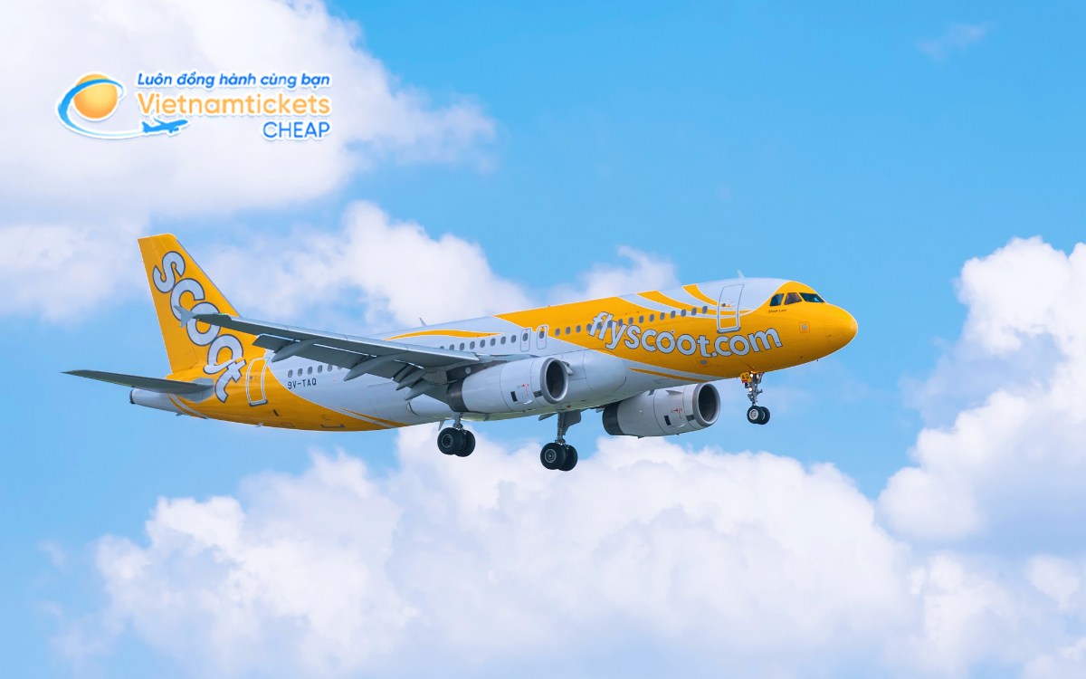 Hãng bay đến Yala