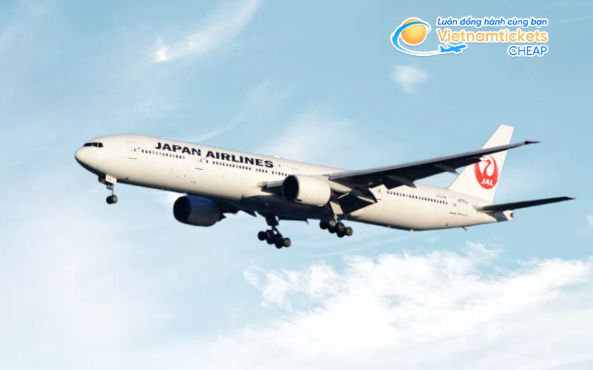 Hãng bay từ Hà Nội đến San Diego