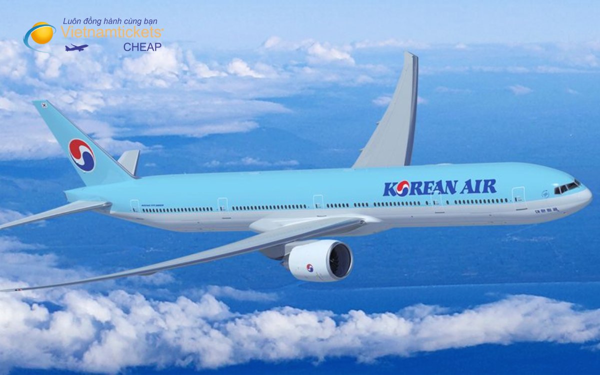 Hãng bay từ Sài Gòn đến Busan