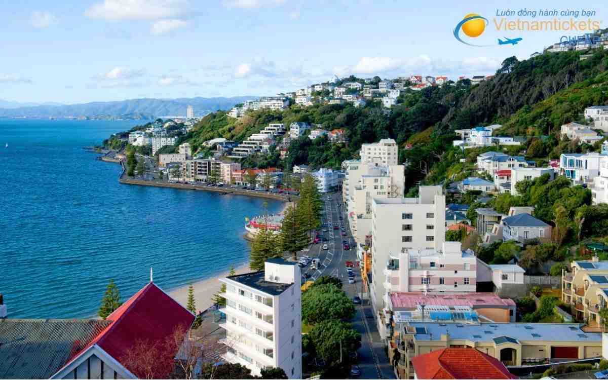 Mẹo săn vé máy bay giá rẻ đi Wellington từ TP.HCM