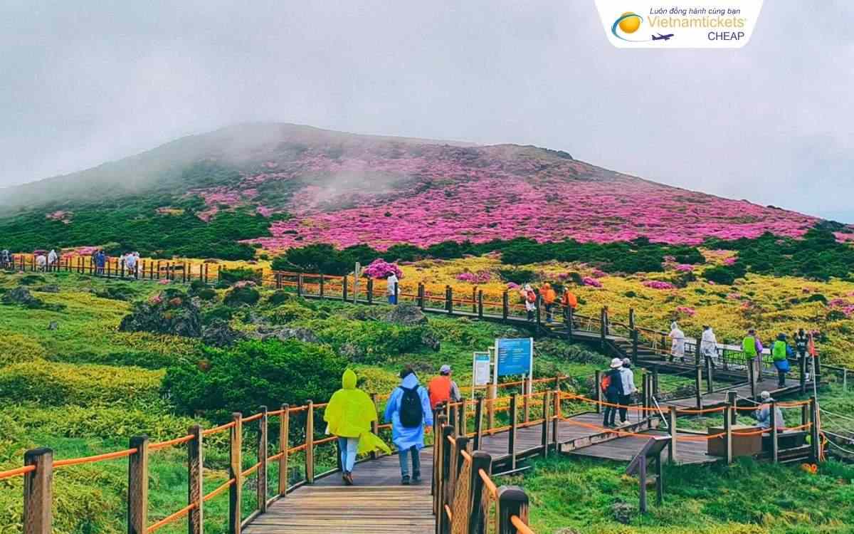 Đường bay từ Seoul đến Jeju
