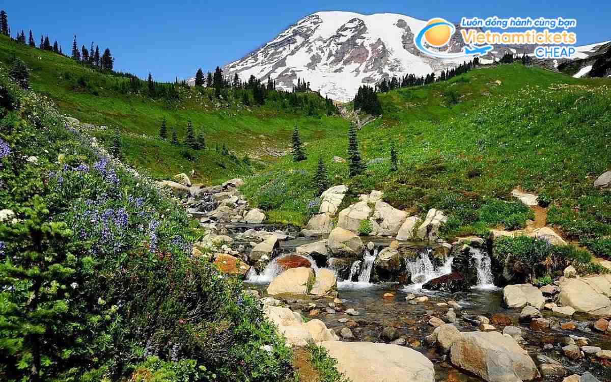 Gi&aacute; v&eacute; m&aacute;y bay từ TPHCM đi Washington