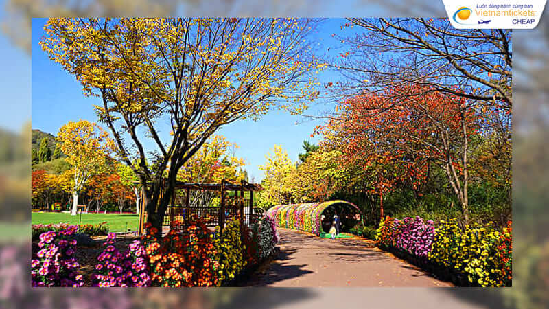 thời điểm du lịch lý tưởng đến daegu