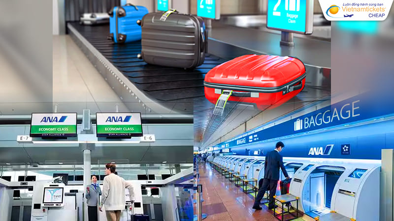 quy định hành lý chuyến bay ANA đi Mỹ