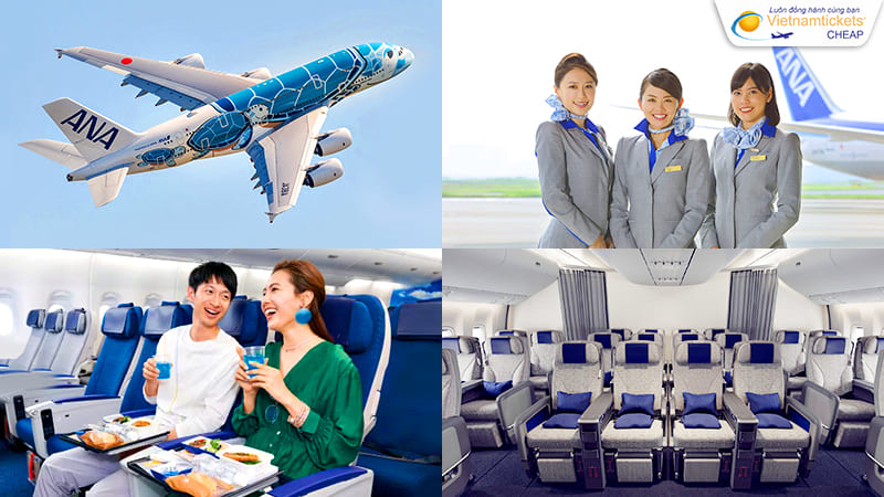 so sánh vé ANA với các hãng bay Mỹ có gì khác biệt