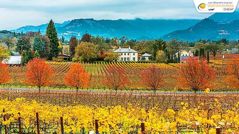 thời điểm thích hợp tham gia chuyến bay sang Mỹ