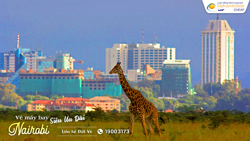 săn vé máy bay đi Nairobi giá rẻ từ 140 USD