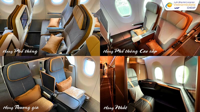 các hạng ghế hãng Starlux Airlines khai thác