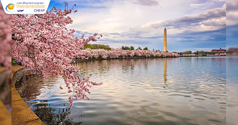 vé máy bay đi washington dc giá siêu rẻ