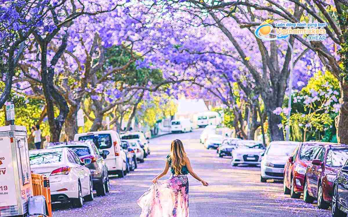 Đi Sydney mùa nào đẹp nhất? Tổng quan khí hậu