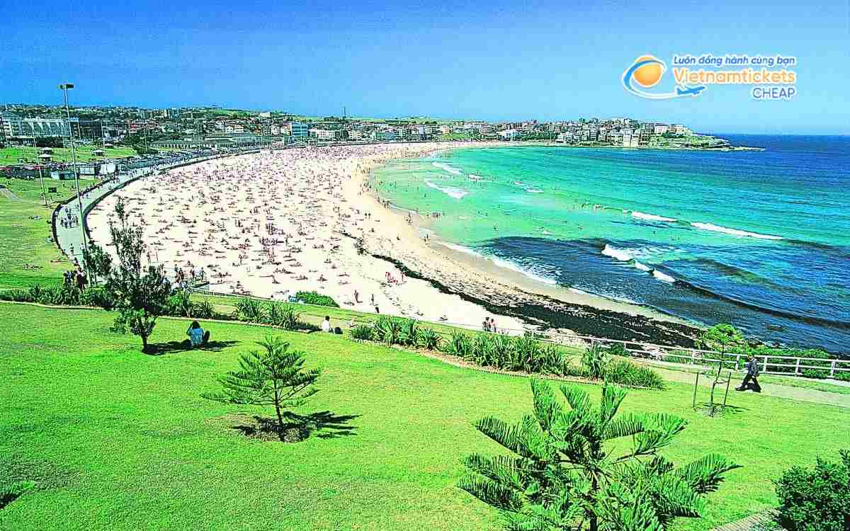 Giới thiệu về Bondi Beach