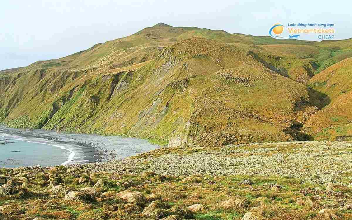 Hành trình khám phá đảo