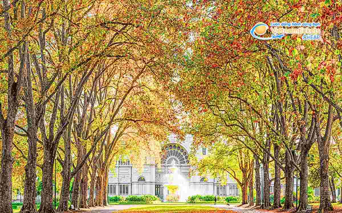 Địa điểm du lịch Úc mùa thu