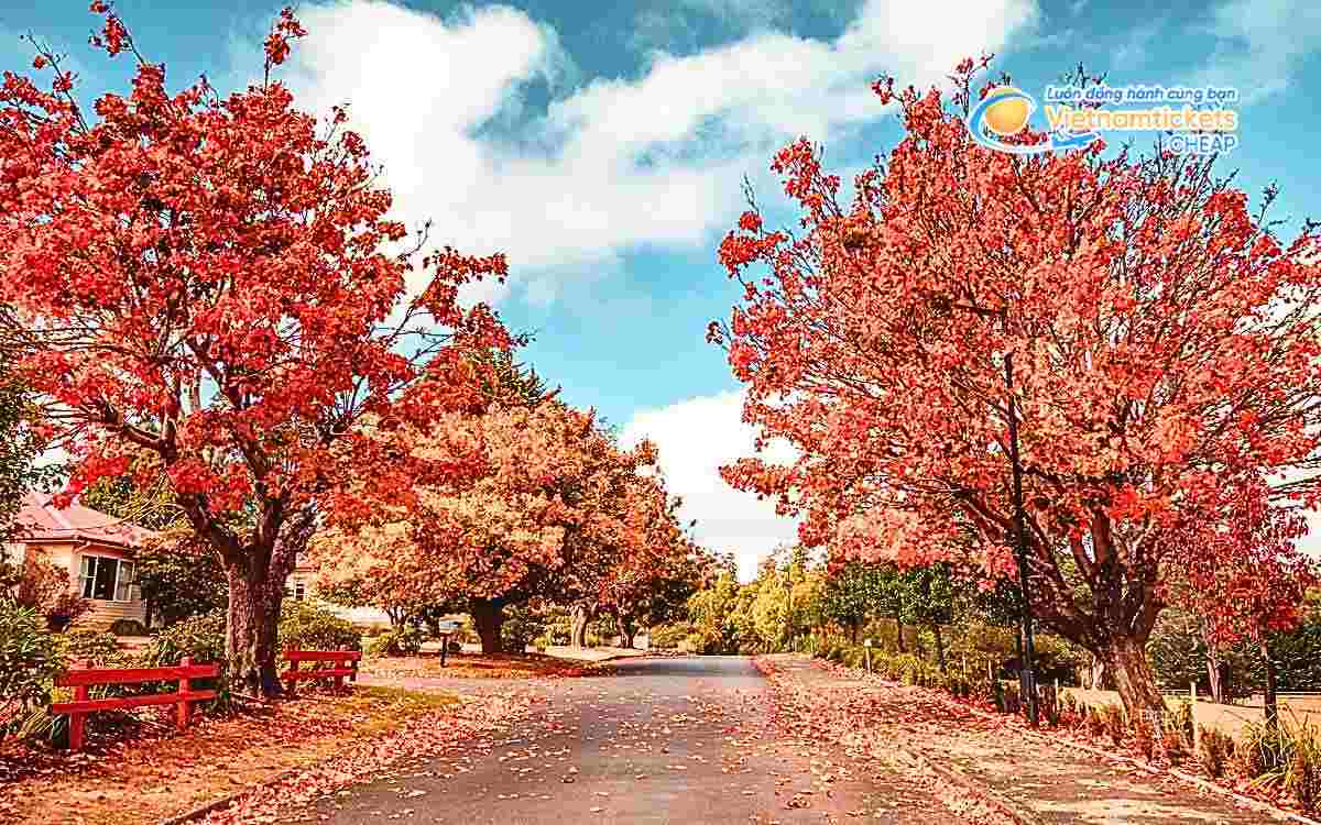 Du lịch úc mùa thu là thời điểm lý tưởng