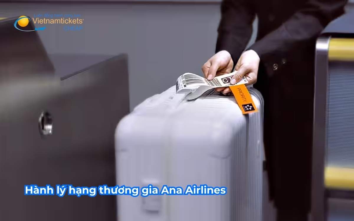 Hành lý hạng thương gia Ana Airlines