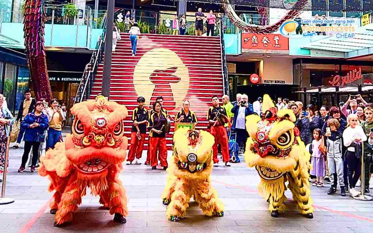 Hoạt động nên thử vào mùa thu Sydney