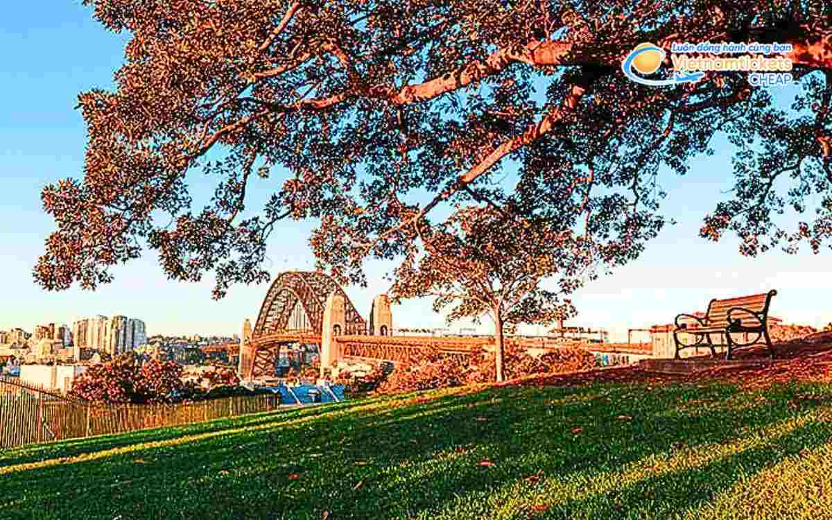 Mùa thu ở Sydney tháng mấy 